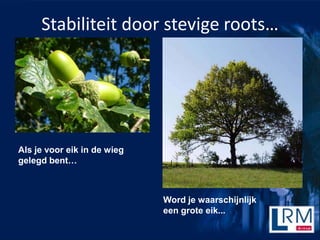 Stabiliteit door stevige roots




Als je voor eik in de wieg
gelegd bent



                             Word je waarschijnlijk
                             een grote eik...
 