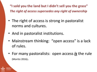 “You have nice grass—I’m coming”:  Challenges of pastoral land governance in East Africa