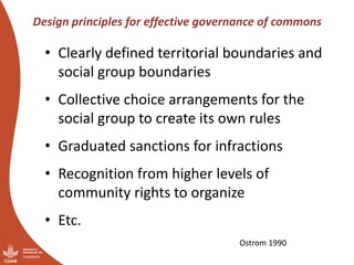 “You have nice grass—I’m coming”:  Challenges of pastoral land governance in East Africa