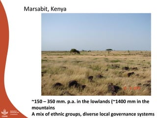 “You have nice grass—I’m coming”:  Challenges of pastoral land governance in East Africa