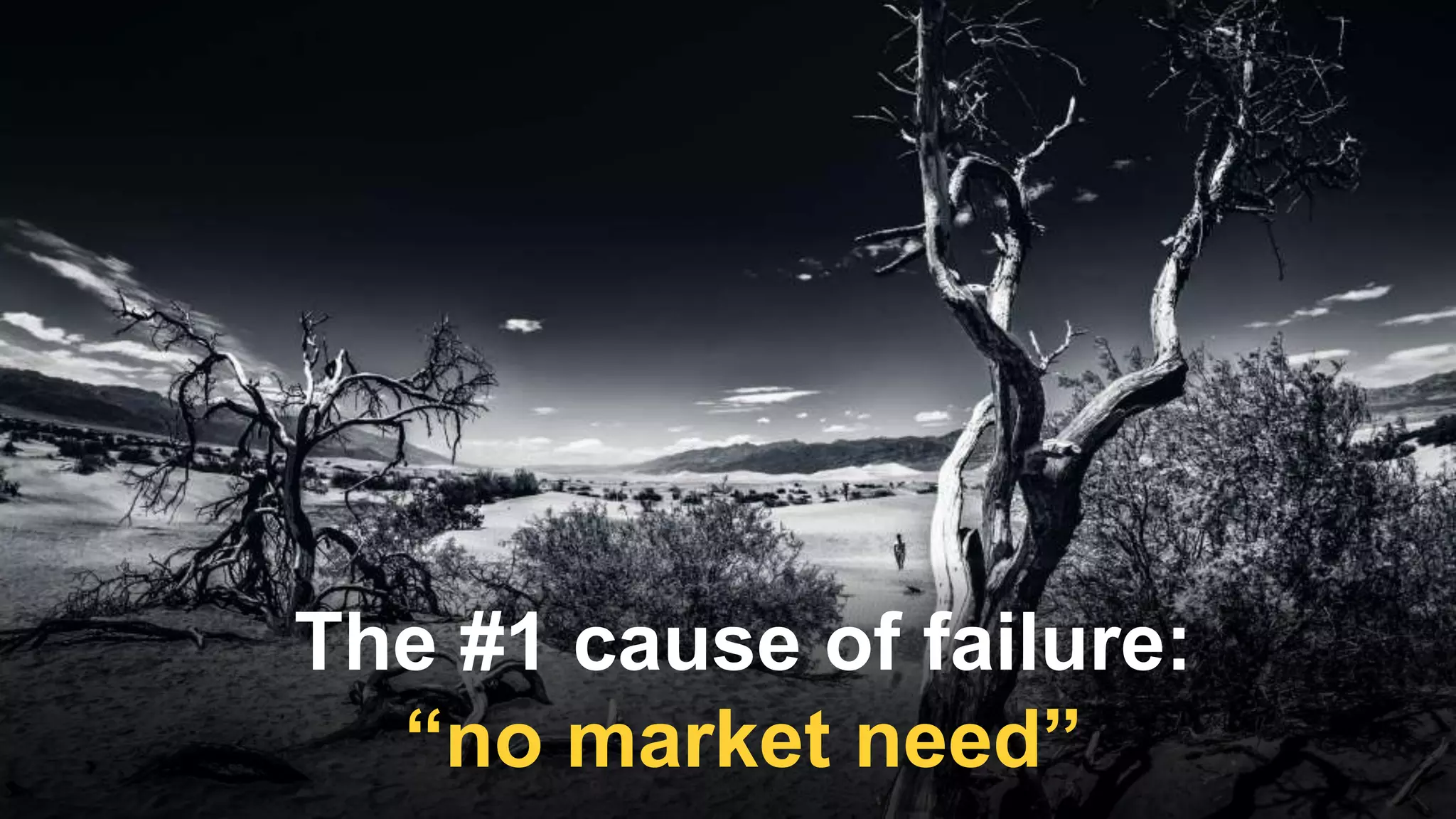 The #1 cause of failure:
“no market need”
 