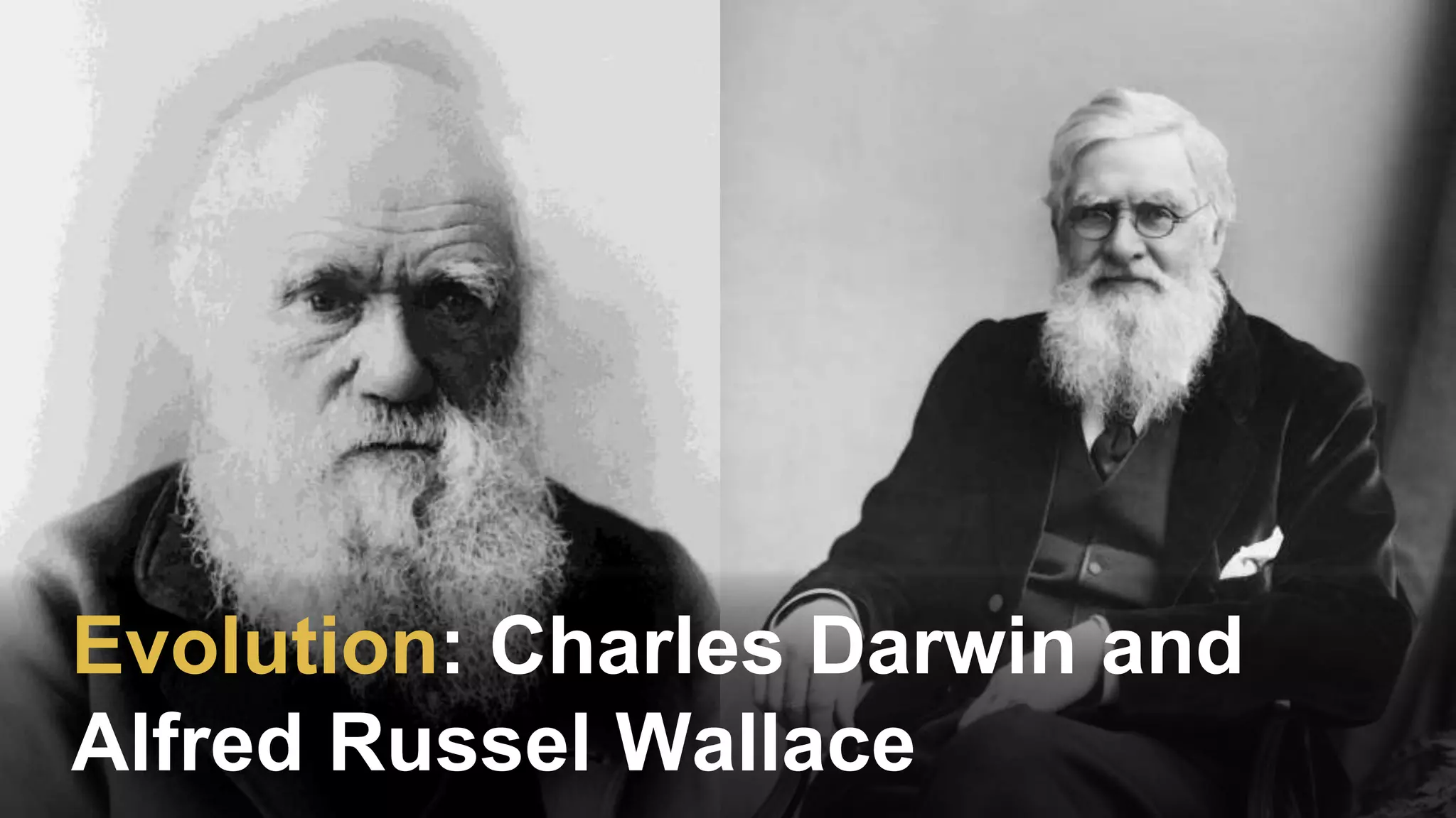 Evolution: Charles Darwin and
Alfred Russel Wallace
 