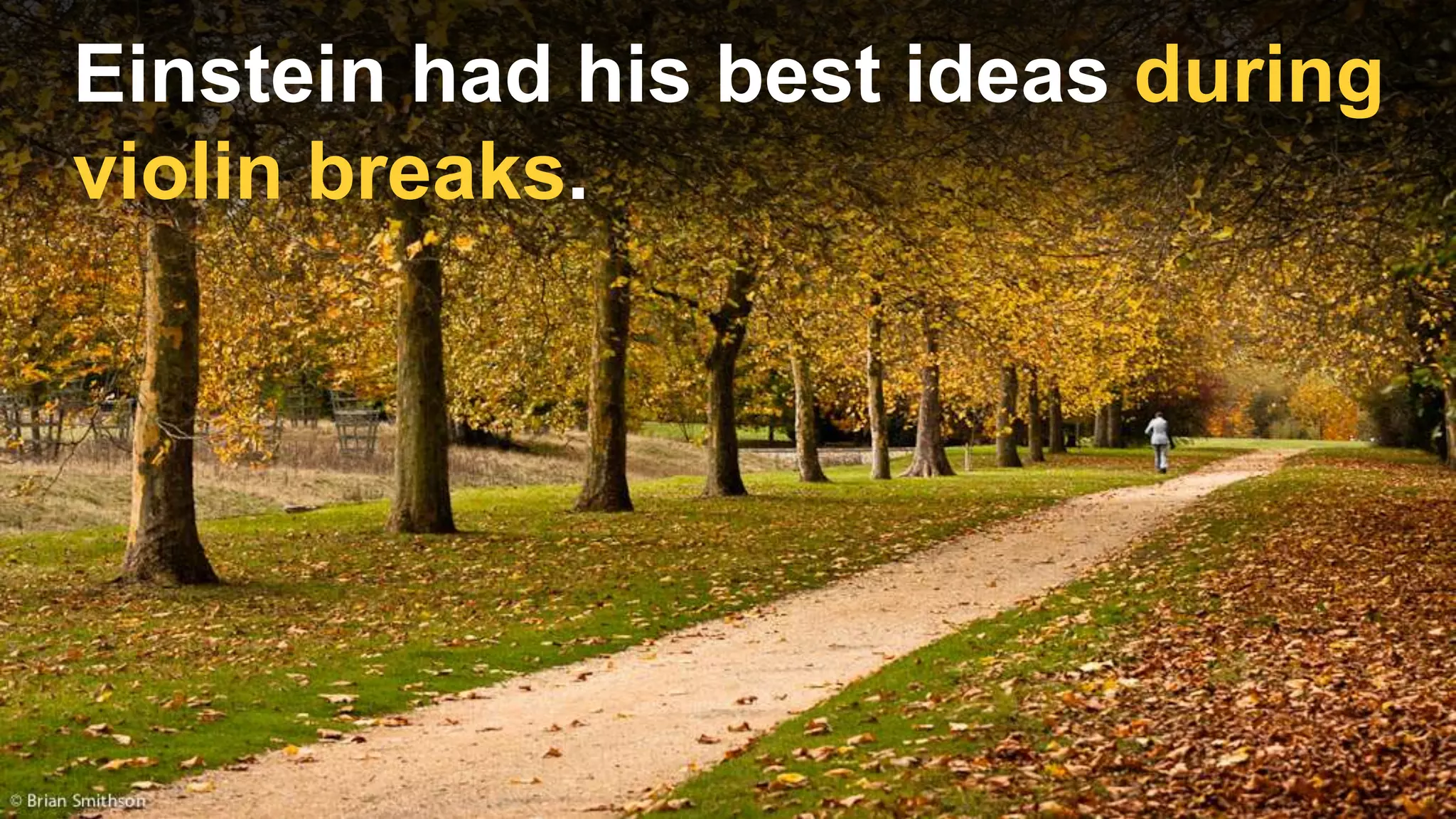 Einstein had his best ideas during
violin breaks.
 