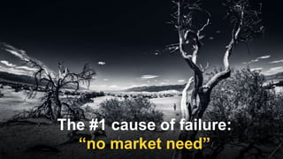 The #1 cause of failure:
“no market need”
 