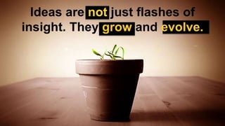 Ideas are not just flashes of
insight. They grow and evolve.
 