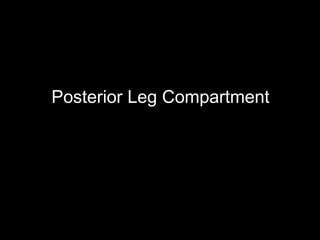 Posterior Leg Compartment
 
