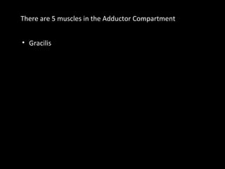 There are 5 muscles in the Adductor Compartment
• Gracilis
 