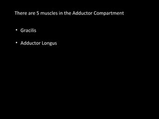 There are 5 muscles in the Adductor Compartment
• Gracilis
• Adductor Longus
 