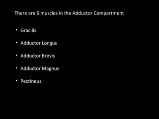 There are 5 muscles in the Adductor Compartment
• Gracilis
• Adductor Longus
• Adductor Brevis
• Adductor Magnus
• Pectineus
 