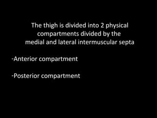 The thigh is divided into 2 physical
compartments divided by the
medial and lateral intermuscular septa
-Anterior compartment
-Posterior compartment
 