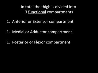 In total the thigh is divided into
3 functional compartments
1. Anterior or Extensor compartment
1. Medial or Adductor compartment
1. Posterior or Flexor compartment
 
