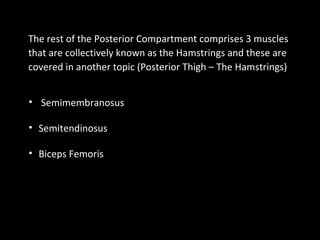 The rest of the Posterior Compartment comprises 3 muscles
that are collectively known as the Hamstrings and these are
covered in another topic (Posterior Thigh – The Hamstrings)
• Semimembranosus
• Semitendinosus
• Biceps Femoris
 