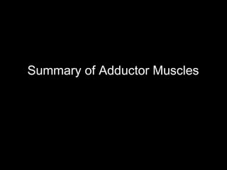 Summary of Adductor Muscles
 
