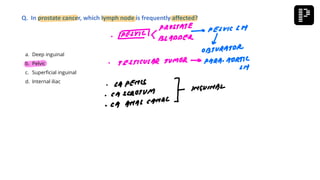 a. Deep inguinal
b. Pelvic
c. Superficial inguinal
d. Internal iliac
Q. In prostate cancer, which lymph node is frequently affected?
 