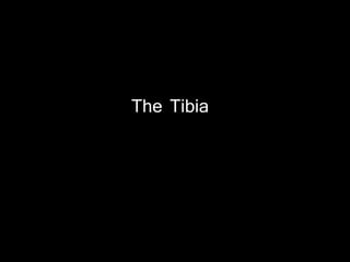The Tibia
 