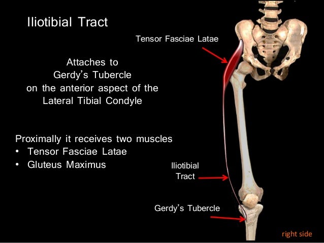 Slideshow: Tibia