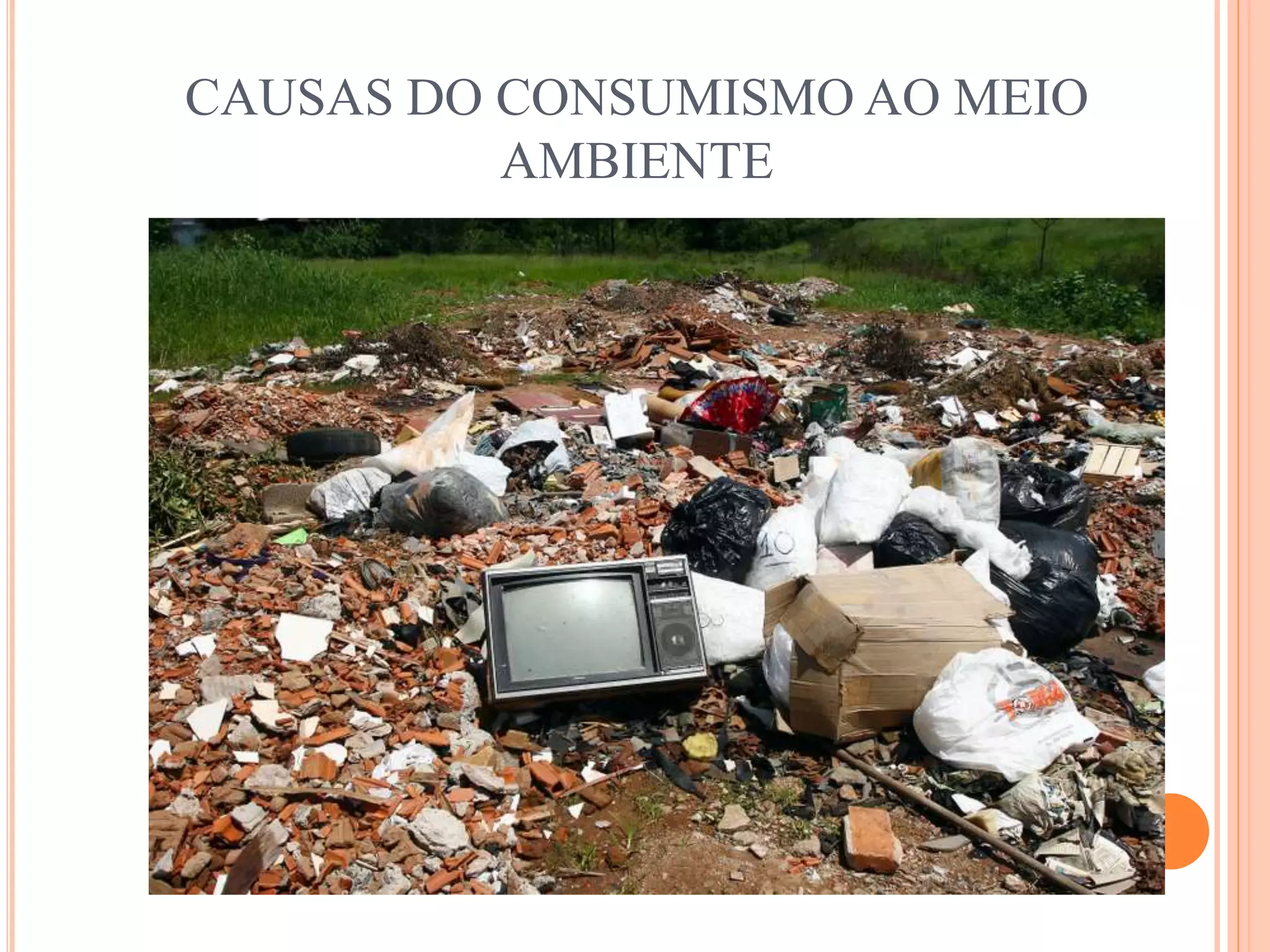 CAUSAS DO CONSUMISMO AO MEIO 
AMBIENTE 
 