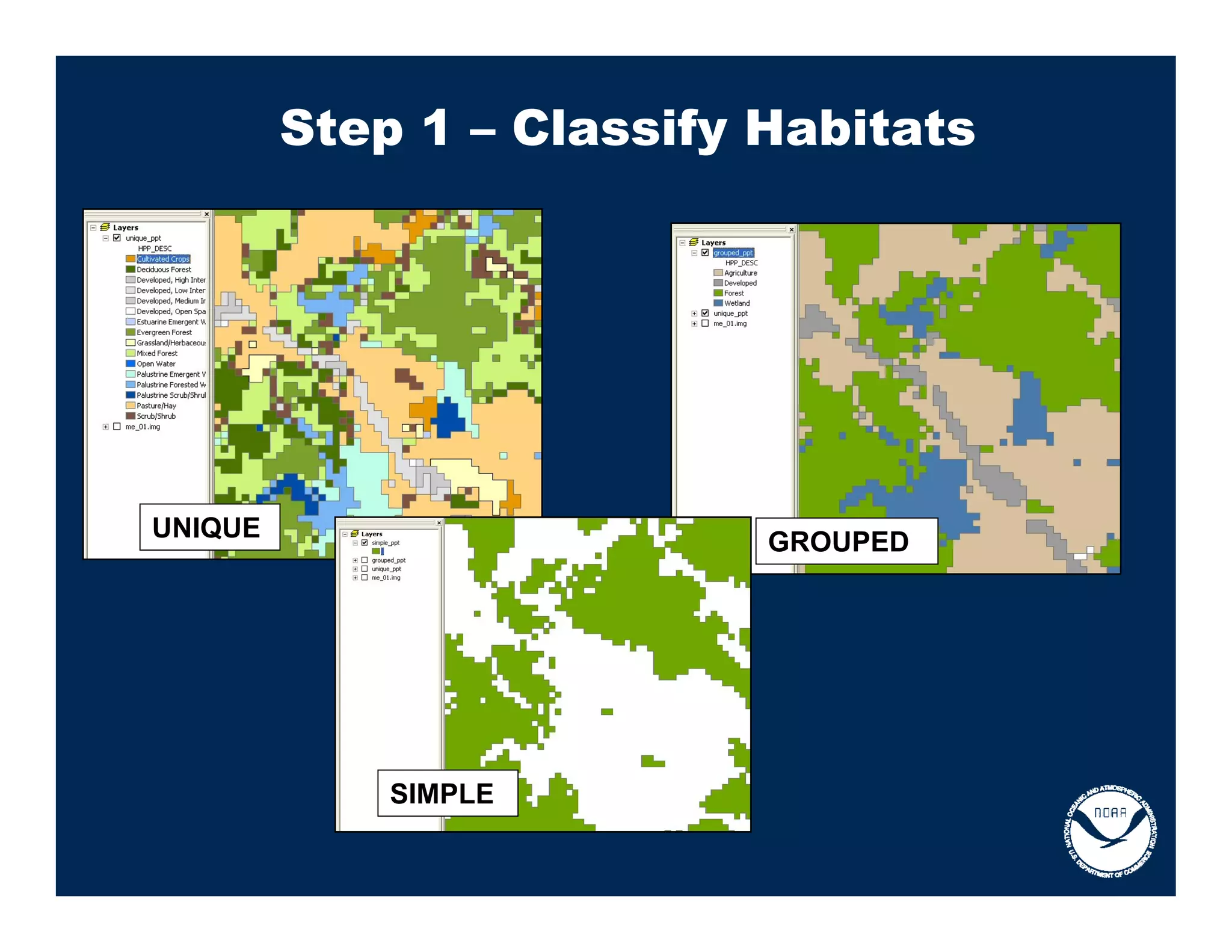 Step 1 – Classify Habitats




UNIQUE                     GROUPED




             SIMPLE
 