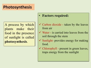 Photosynthesis
• Factors required:
 Carbon dioxide - taken by the leaves
from air
 Water - is carried into leaves from t...