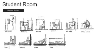 Student Room
Human Anthro
 