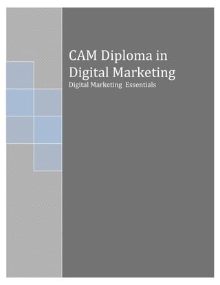 CAM Diploma in
Digital Marketing
Digital Marketing Essentials
 