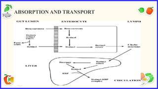 ABSORPTION AND TRANSPORT
 