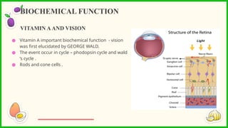 ● Vitamin A important biochemical function - vision
was first elucidated by GEORGE WALD.
● The event occur in cycle – phodopsin cycle and wald
’s cycle .
● Rods and cone cells .
BIOCHEMICAL FUNCTION
VITAMIN AAND VISION
 