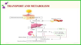 TRANSPORT AND METABOLISM
 