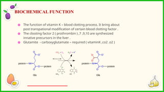 ● The function of vitamin K – blood clotting process. It bring about
post transpational modification of certain blood clotting factor .
● The clooting factor 2 ( prothrombin ) ,7 ,9,10 are synthesized
innative precursors in the liver .
● Glutamite - carboxyglutamate – required ( vitaminK ,co2 .o2 )
BIOCHEMICAL FUNCTION
 