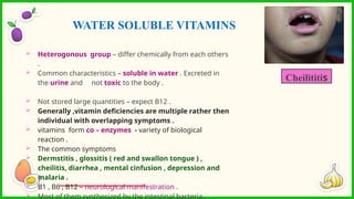  Heterogonous group – differ chemically from each others
.
 Common characteristics – soluble in water . Excreted in
the urine and not toxic to the body .
 Not stored large quantities – expect B12 .
 Generally ,vitamin deficiencies are multiple rather then
individual with overlapping symptoms .
 vitamins form co – enzymes - variety of biological
reaction .
 The common symptoms
 Dermstitis , glossitis ( red and swallon tongue ) ,
cheilitis, diarrhea , mental cinfusion , depression and
malaria .
 B1 , B6 , B12 – neurological manifestration .
 Most of them synthesized by the intestinal bacteria .
WATER SOLUBLE VITAMINS
Cheilititis
 