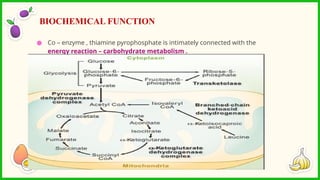 ● Co – enzyme , thiamine pyrophosphate is intimately connected with the
energy reaction – carbohydrate metabolism .
BIOCHEMICAL FUNCTION
 
