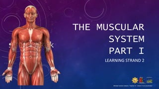 THE MUSCULAR
SYSTEM
PART I
LEARNING STRAND 2
Michael Cachero Gelacio / Teacher III – District I ALS Coordinator
 