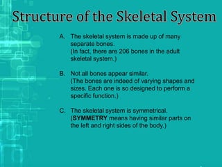 A. The skeletal system is made up of many
separate bones.
(In fact, there are 206 bones in the adult
skeletal system.)
B. Not all bones appear similar.
(The bones are indeed of varying shapes and
sizes. Each one is so designed to perform a
specific function.)
C. The skeletal system is symmetrical.
(SYMMETRY means having similar parts on
the left and right sides of the body.)
 