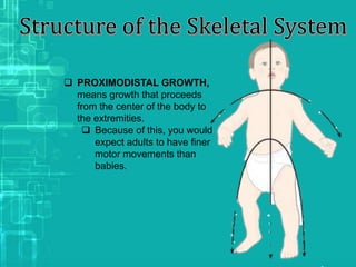  PROXIMODISTAL GROWTH,
means growth that proceeds
from the center of the body to
the extremities.
 Because of this, you would
expect adults to have finer
motor movements than
babies.
 