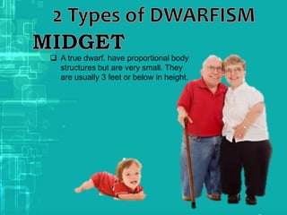  A true dwarf. have proportional body
structures but are very small. They
are usually 3 feet or below in height.
 