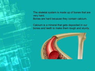 The skeletal system is made up of bones that are
very hard.
Bones are hard because they contain calcium.
Calcium is a mineral that gets deposited in our
bones and teeth to make them tough and sturdy.
 
