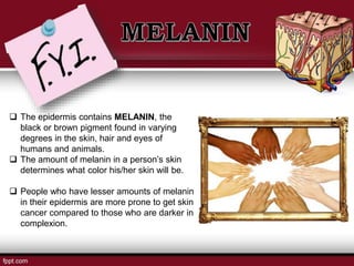  The epidermis contains MELANIN, the
black or brown pigment found in varying
degrees in the skin, hair and eyes of
humans and animals.
 The amount of melanin in a person’s skin
determines what color his/her skin will be.
 People who have lesser amounts of melanin
in their epidermis are more prone to get skin
cancer compared to those who are darker in
complexion.
 