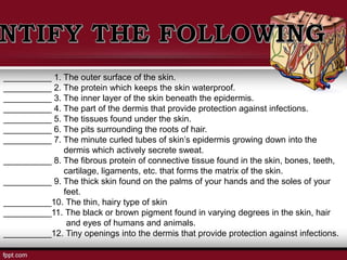 __________ 1. The outer surface of the skin.
__________ 2. The protein which keeps the skin waterproof.
__________ 3. The inner layer of the skin beneath the epidermis.
__________ 4. The part of the dermis that provide protection against infections.
__________ 5. The tissues found under the skin.
__________ 6. The pits surrounding the roots of hair.
__________ 7. The minute curled tubes of skin’s epidermis growing down into the
dermis which actively secrete sweat.
__________ 8. The fibrous protein of connective tissue found in the skin, bones, teeth,
cartilage, ligaments, etc. that forms the matrix of the skin.
__________ 9. The thick skin found on the palms of your hands and the soles of your
feet.
__________10. The thin, hairy type of skin
__________11. The black or brown pigment found in varying degrees in the skin, hair
and eyes of humans and animals.
__________12. Tiny openings into the dermis that provide protection against infections.
 