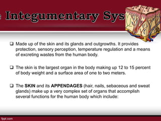  Made up of the skin and its glands and outgrowths. It provides
protection, sensory perception, temperature regulation and a means
of excreting wastes from the human body.
 The skin is the largest organ in the body making up 12 to 15 percent
of body weight and a surface area of one to two meters.
 The SKIN and its APPENDAGES (hair, nails, sebaceous and sweat
glands) make up a very complex set of organs that accomplish
several functions for the human body which include:
 