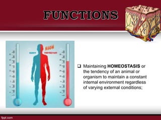  Maintaining HOMEOSTASIS or
the tendency of an animal or
organism to maintain a constant
internal environment regardless
of varying external conditions;
 