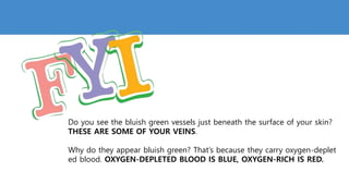 Do you see the bluish green vessels just beneath the surface of your skin?
THESE ARE SOME OF YOUR VEINS.
Why do they appear bluish green? That’s because they carry oxygen-deplet
ed blood. OXYGEN-DEPLETED BLOOD IS BLUE, OXYGEN-RICH IS RED.
 