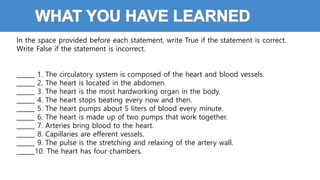 In the space provided before each statement, write True if the statement is correct.
Write False if the statement is incorrect.
______ 1. The circulatory system is composed of the heart and blood vessels.
______ 2. The heart is located in the abdomen.
______ 3. The heart is the most hardworking organ in the body.
______ 4. The heart stops beating every now and then.
______ 5. The heart pumps about 5 liters of blood every minute.
______ 6. The heart is made up of two pumps that work together.
______ 7. Arteries bring blood to the heart.
______ 8. Capillaries are efferent vessels.
______ 9. The pulse is the stretching and relaxing of the artery wall.
______10. The heart has four chambers.
 