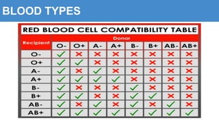 BLOOD TYPES
 