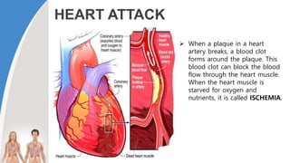 HEART ATTACK
 When a plaque in a heart
artery breaks, a blood clot
forms around the plaque. This
blood clot can block the blood
flow through the heart muscle.
When the heart muscle is
starved for oxygen and
nutrients, it is called ISCHEMIA.
 