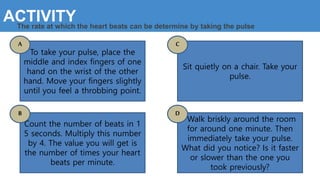 To take your pulse, place the
middle and index fingers of one
hand on the wrist of the other
hand. Move your fingers slightly
until you feel a throbbing point.
Count the number of beats in 1
5 seconds. Multiply this number
by 4. The value you will get is
the number of times your heart
beats per minute.
Sit quietly on a chair. Take your
pulse.
Walk briskly around the room
for around one minute. Then
immediately take your pulse.
What did you notice? Is it faster
or slower than the one you
took previously?
A C
B D
The rate at which the heart beats can be determine by taking the pulse
ACTIVITY
 