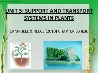 UNIT 5: SUPPORT AND TRANSPORT
SYSTEMS IN PLANTS
(CAMPBELL & REECE (2010) CHAPTER 35 &36)
 