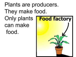 Plants are producers.
They make food.
Only plants
can make
 food.
 