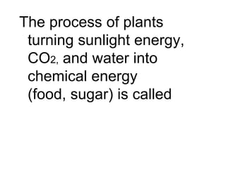 The process of plants
 turning sunlight energy,
 CO2, and water into
 chemical energy
 (food, sugar) is called
 