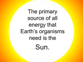 The primary
  source of all
   energy that
Earth’s organisms
   need is the
     Sun.
 