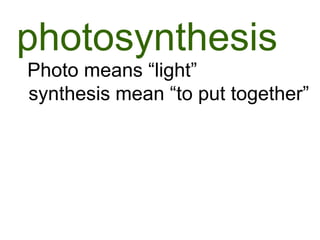 photosynthesis
Photo means “light”
synthesis mean “to put together”
 